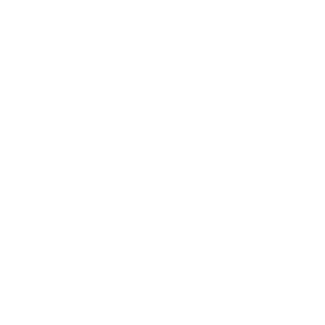 Instituto Universitario de la Paz